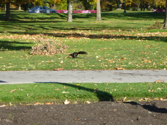c0011134_16345346.jpg