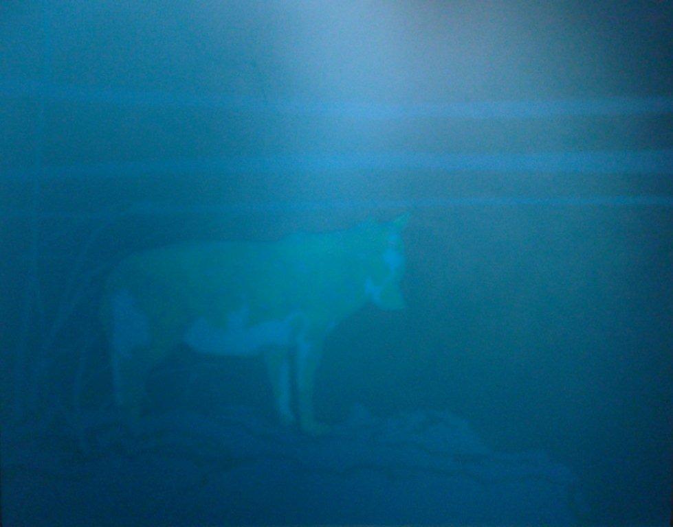 f0178334_22235822.jpg