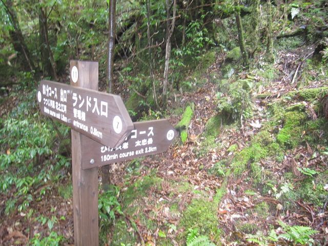 d0088735_21501270.jpg