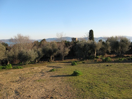 f0234936_911529.jpg