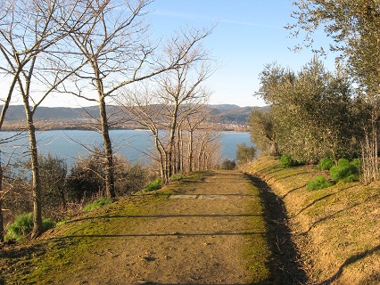 f0234936_922980.jpg