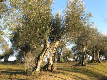 f0234936_931013.jpg