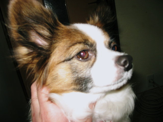 a0149240_20425351.jpg