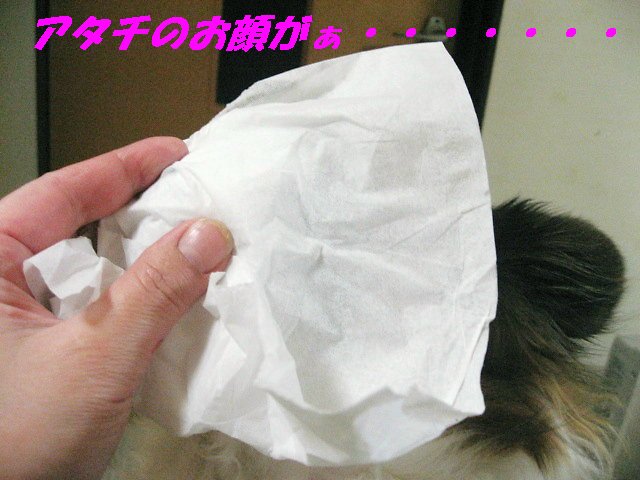 a0149240_20445431.jpg