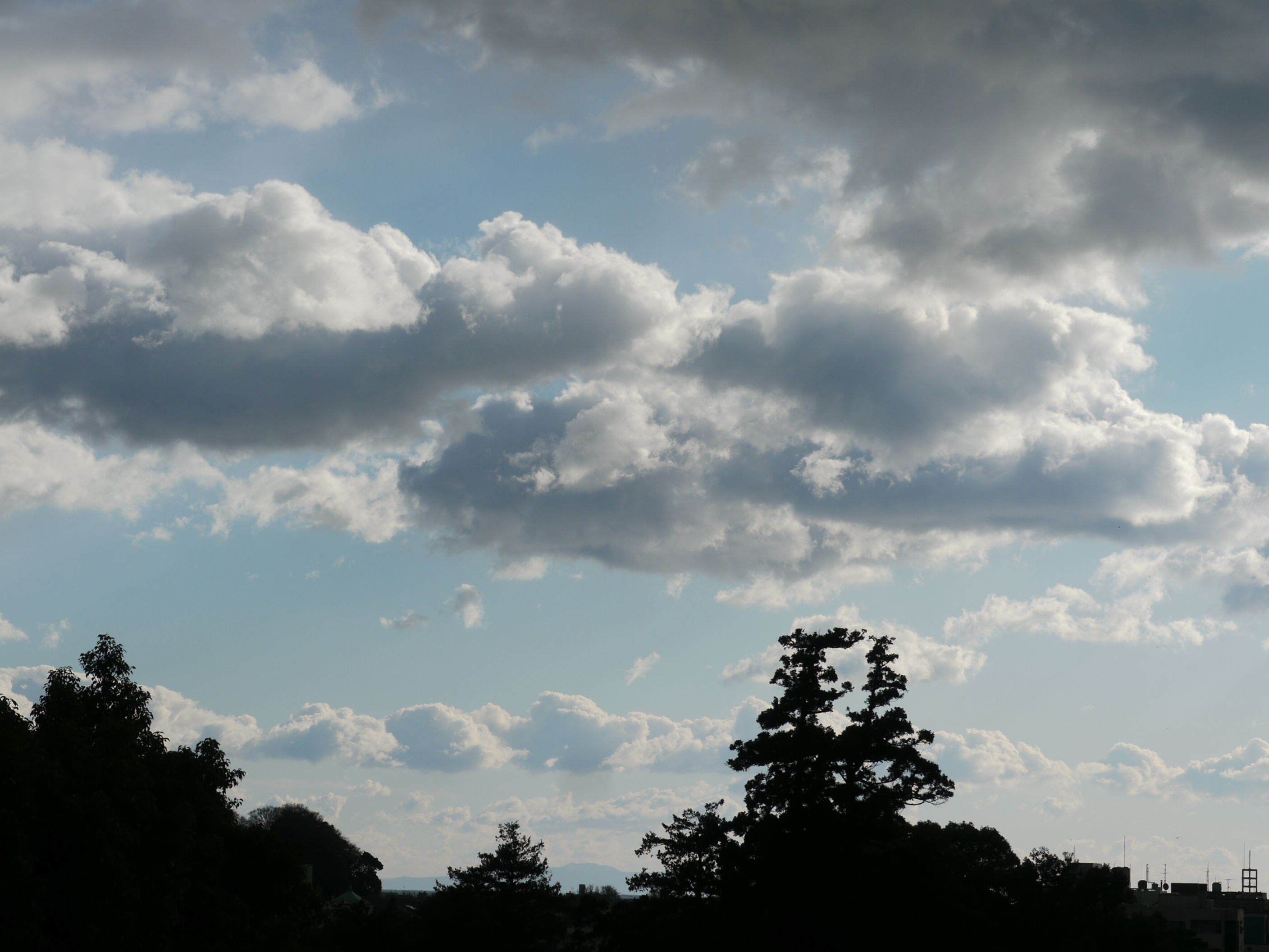 b0190242_12495510.jpg