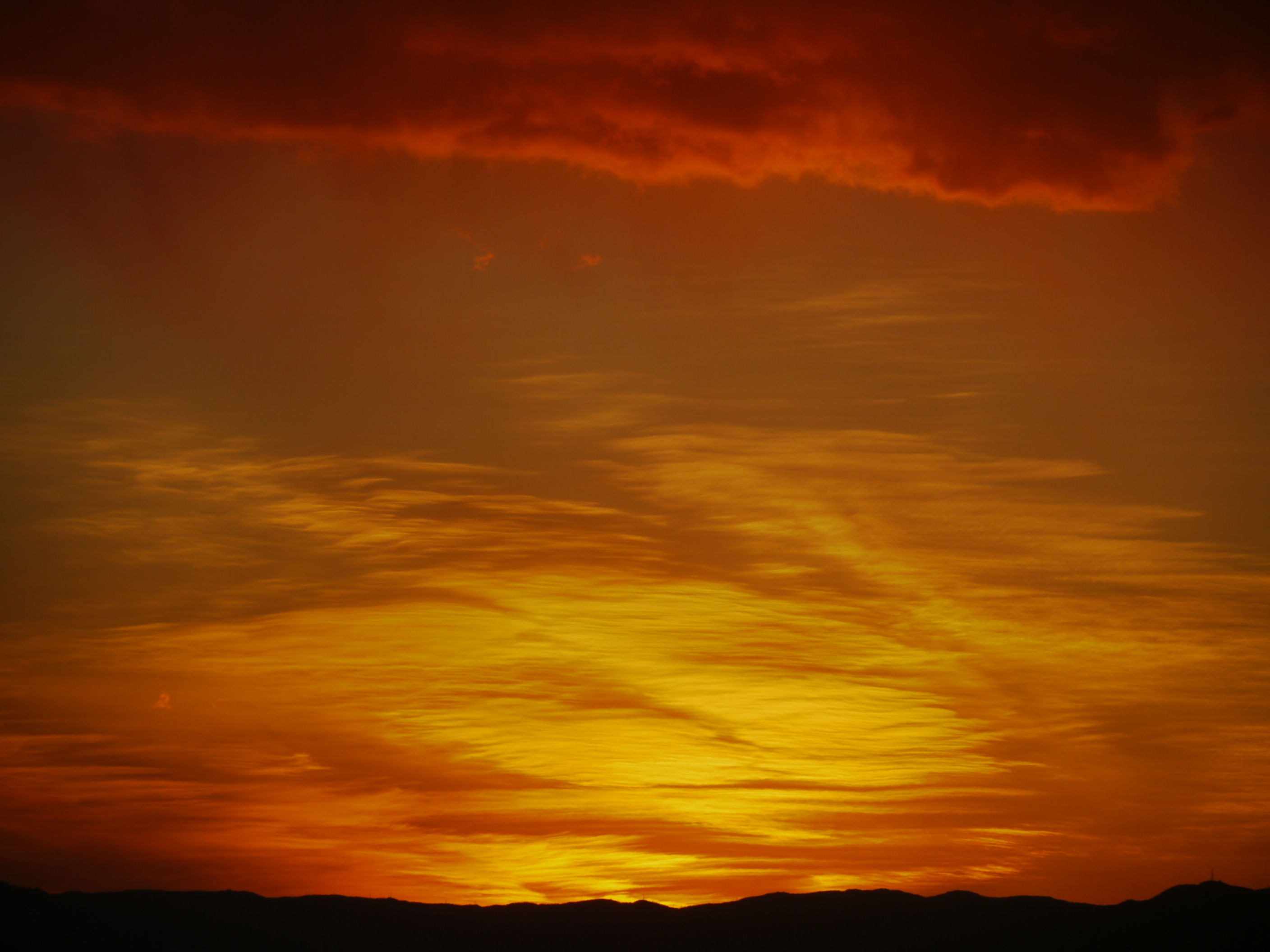b0190242_12534757.jpg