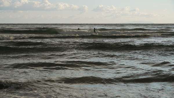 b0190242_130832.jpg