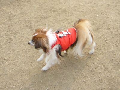e0100046_1615562.jpg