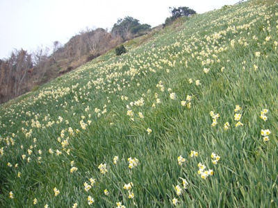 e0100046_16391140.jpg
