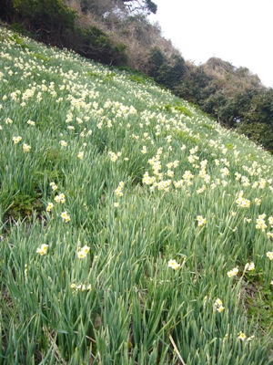 e0100046_16511875.jpg