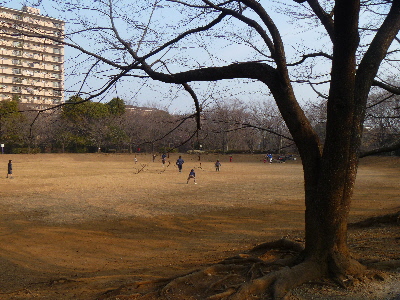 e0121548_2191283.jpg
