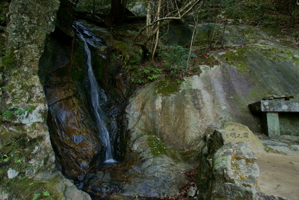 e0005253_194058100.jpg