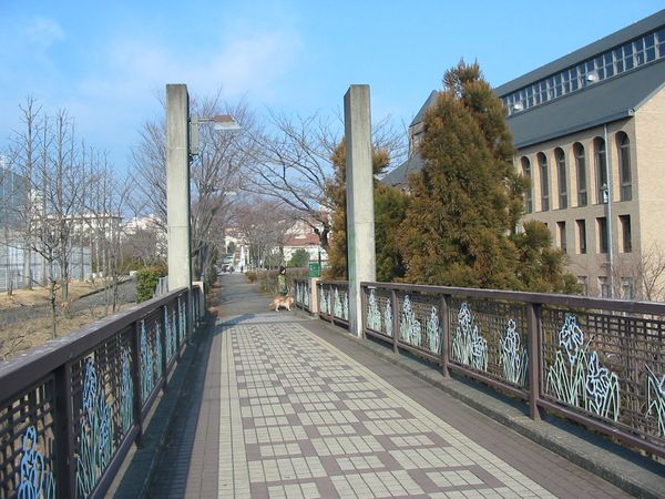 c0115660_10134861.jpg