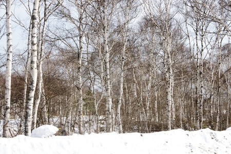 f0139466_2062216.jpg