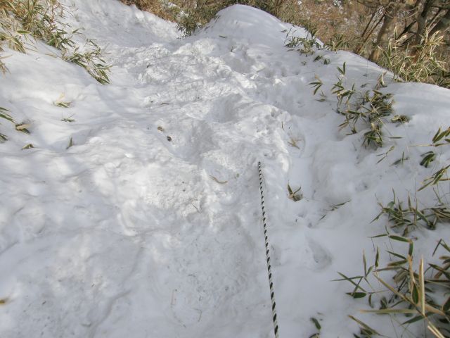 c0042869_20151723.jpg