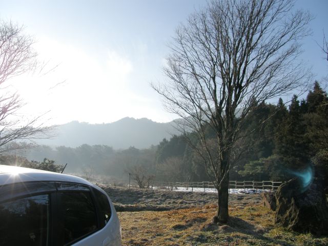 c0042869_20432353.jpg