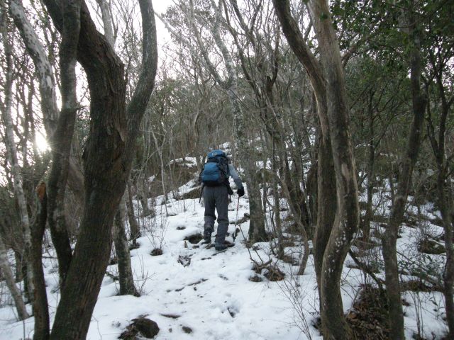 c0042869_2045639.jpg