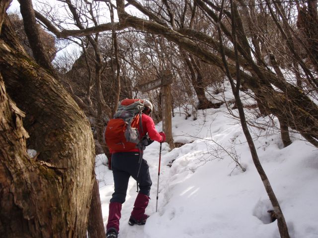 c0042869_20491956.jpg