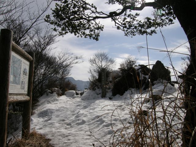 c0042869_2054027.jpg