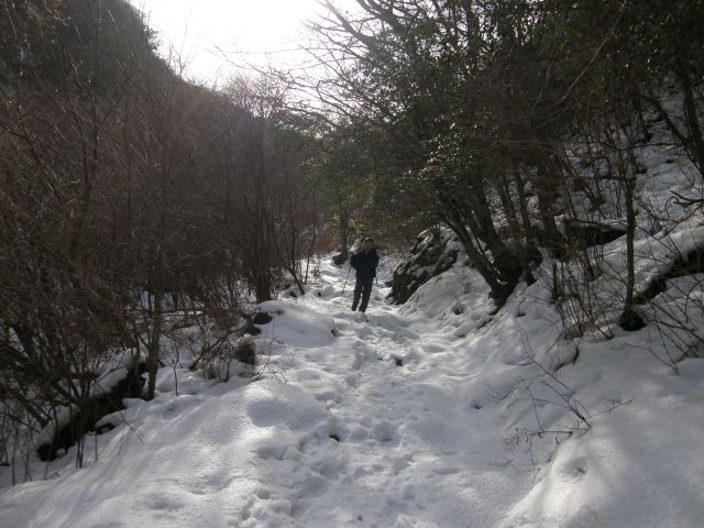 c0042869_217472.jpg