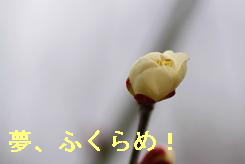 b0185771_2028562.jpg