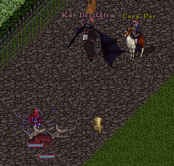 b0190672_19515885.gif