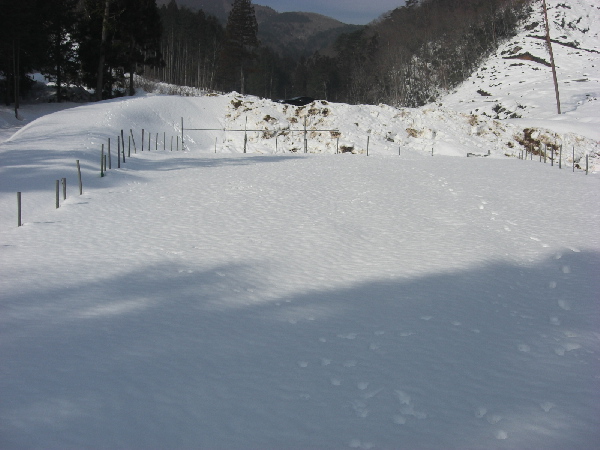 d0116578_1214164.jpg