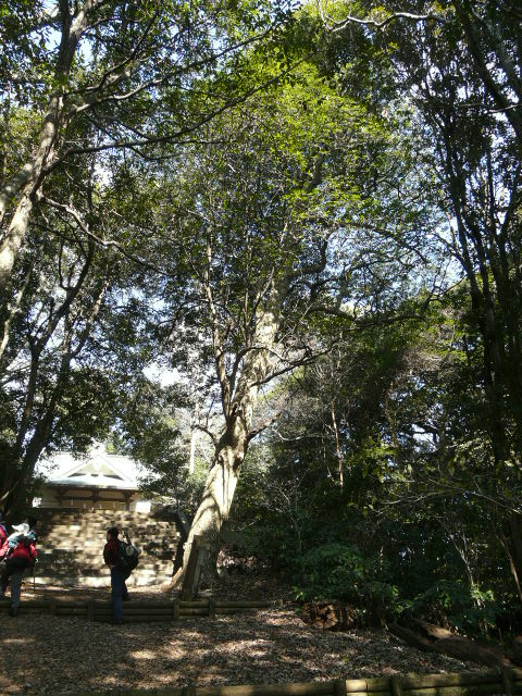 e0145782_15344969.jpg