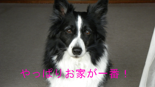 c0120585_2159418.jpg