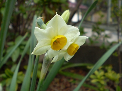 a0135990_2131456.jpg