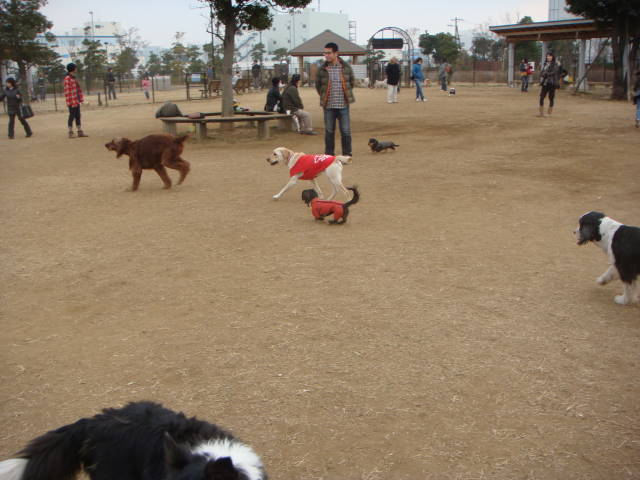 d0098295_23503694.jpg
