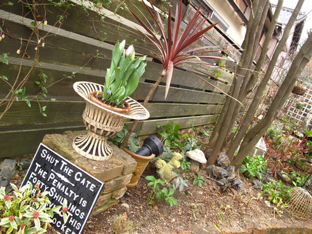 f0178897_20112550.jpg