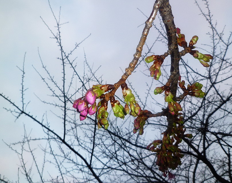 c0138198_10391571.jpg