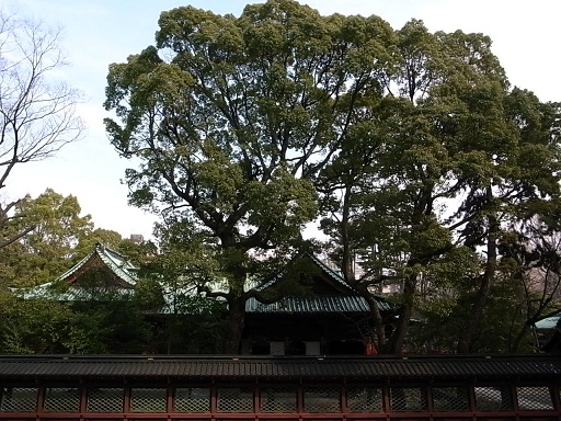 e0043700_21481652.jpg