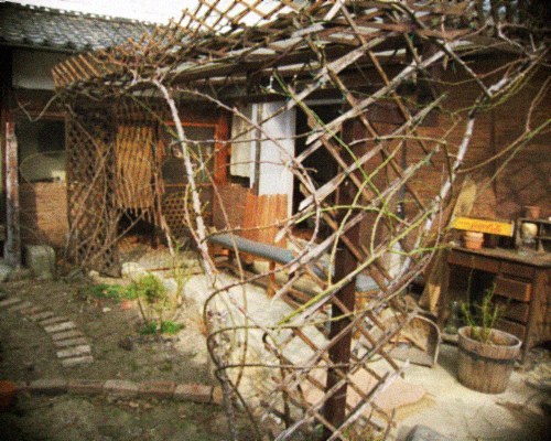 d0077603_1010474.jpg
