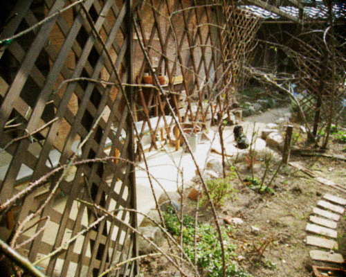 d0077603_1074586.jpg