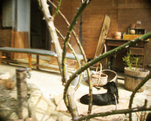 d0077603_1091996.jpg
