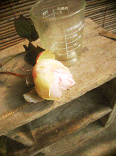 d0077603_1094880.jpg