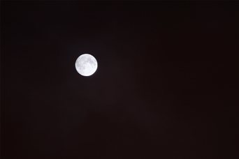 c0055305_1435714.jpg