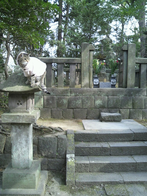 e0031605_655450.jpg