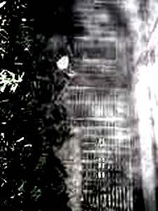 e0103408_092367.jpg
