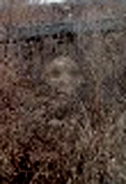 e0103408_16162613.jpg
