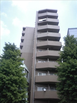 a0195709_9534234.jpg