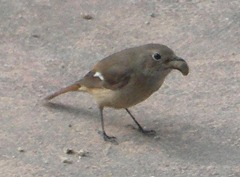 c0190010_2025946.jpg