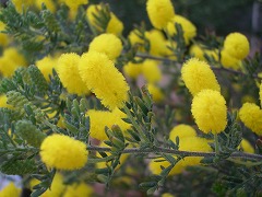 c0190010_2071913.jpg