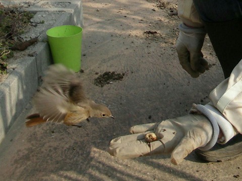 c0190010_21554642.jpg