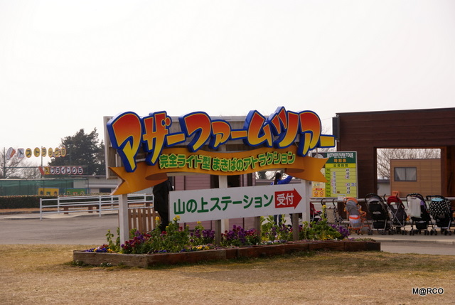 c0037611_2133019.jpg
