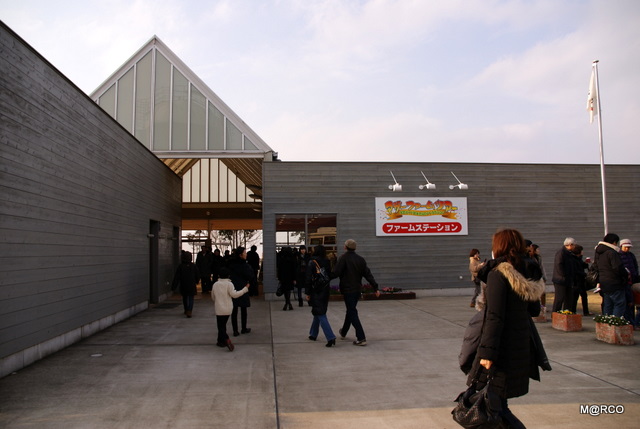 c0037611_2136882.jpg
