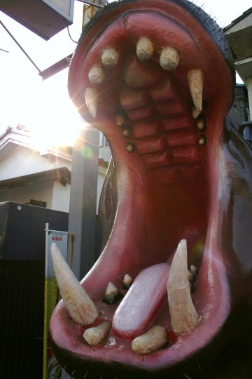 d0160611_74227.jpg
