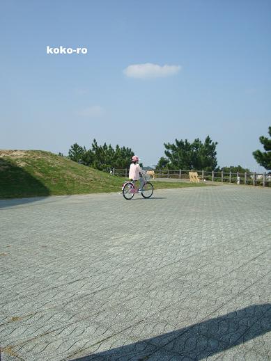 c0160014_15531274.jpg